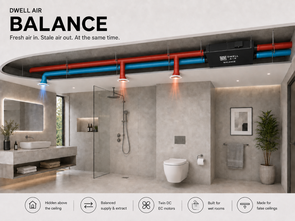 balance app.webp