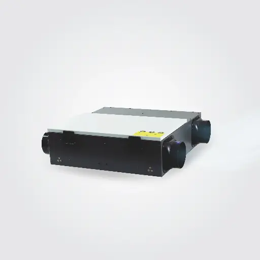 Dwell BOLD ERV System with Pre, HEPA, Carbon & ESP Filter